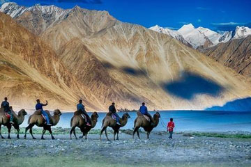 Majestic Ladakh Tour